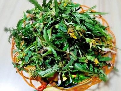 蒲公英炒鸡蛋的功效与作用