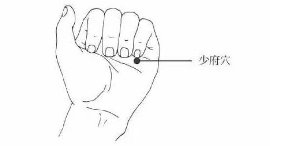少府穴.jpg