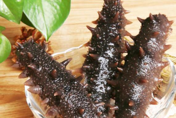 即食海参怎么吃 即食海参的常见吃法