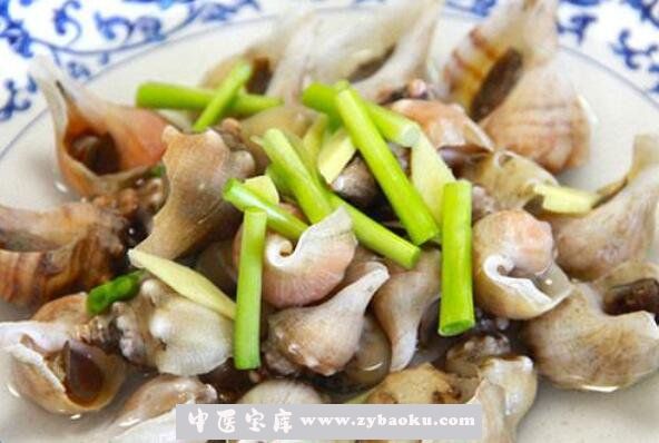 角螺的功效与作用