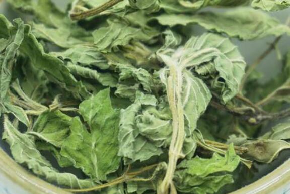 薄荷叶茶的功效与作用