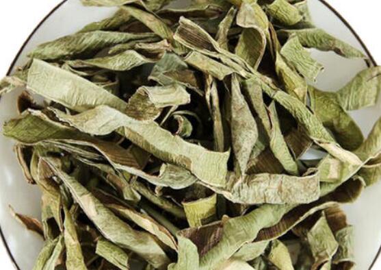 怎样自制芦荟干茶 新鲜芦荟怎么做芦荟茶