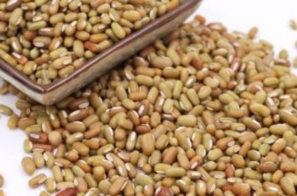竹豆的功效与作用及禁忌