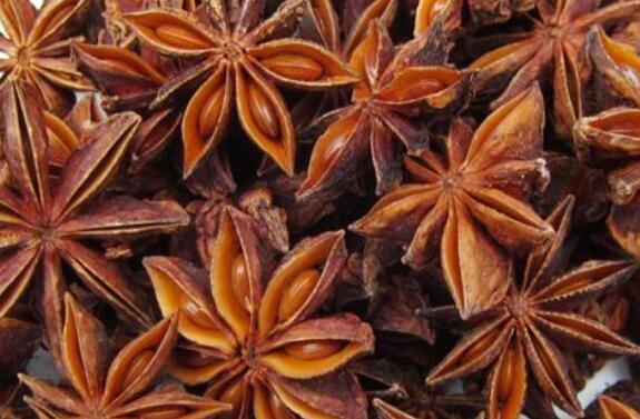 八角茴香怎么吃 八角茴香的食用方法