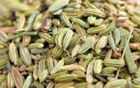 小茴香籽怎么吃 小茴香籽的食用方法