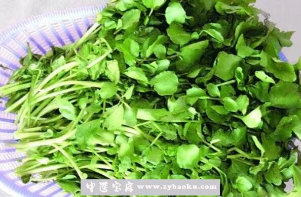 豆瓣菜的功效与作用