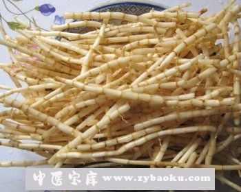 果蔬百科茅根
