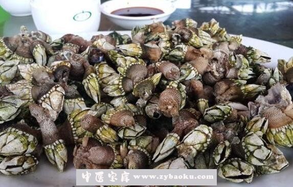 海佛手怎么吃 海佛手的食用方法