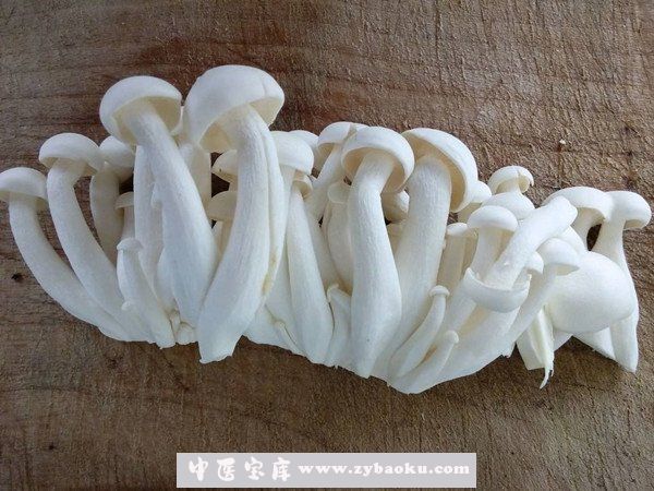 白玉菇