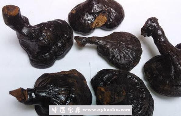 桦树灵芝的功效与作用