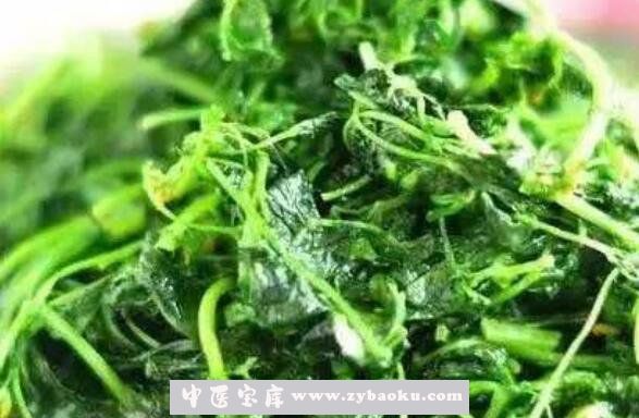 草籽菜有什么功效 草籽菜怎么吃