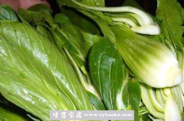 上海青怎么吃 上海青的功效与作用