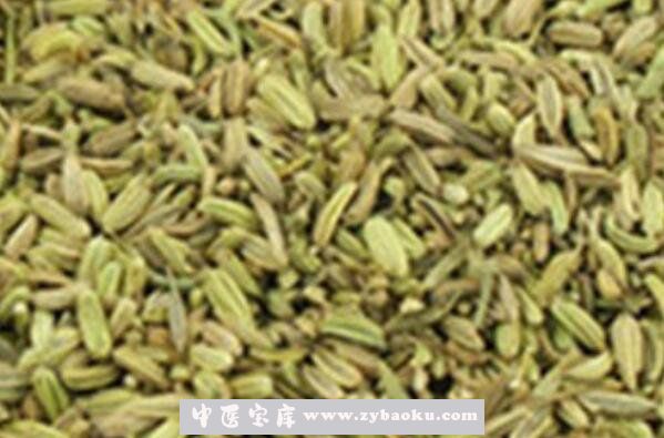 怎样炒茴香籽 茴香籽的功效与作用