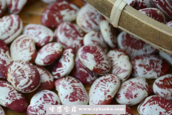  斑马豆的功效与作用 斑马豆怎么吃最好