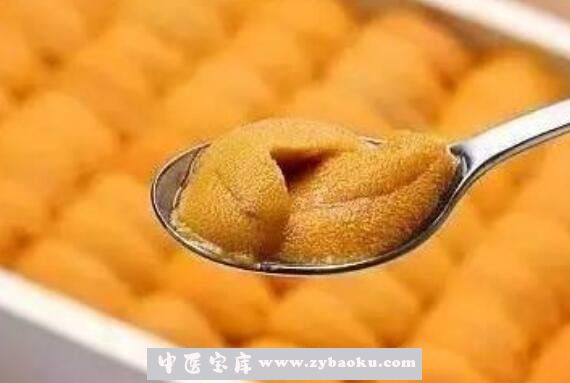 鲜海胆肉怎么吃 鲜海胆的吃法教程