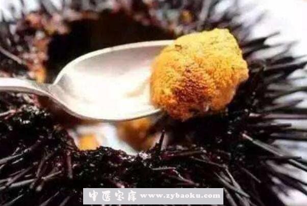 海胆可以生吃吗 海胆生吃怎么吃图解