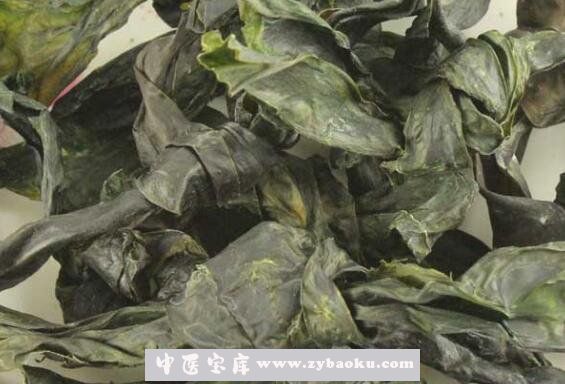 昆布的功效与作用及禁忌