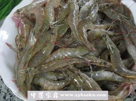 河虾的营养价值及功效