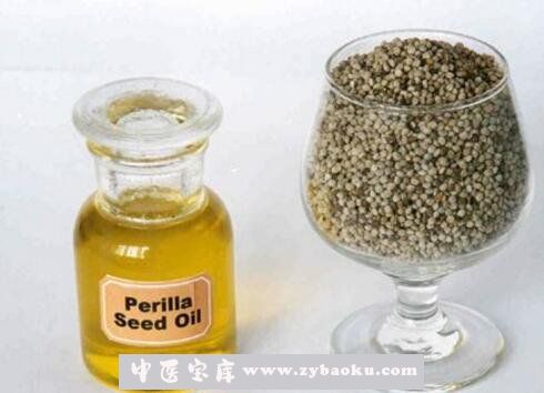 紫苏籽油的功效与作用及营养价值