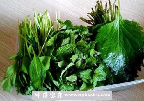 紫苏叶可以生吃吗 紫苏叶能泡水喝吗