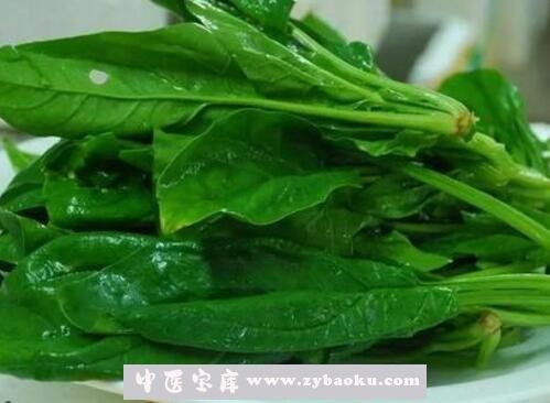 矮菠菜图片 吃矮菠菜的好处