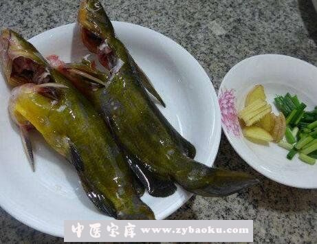 黄刺鱼的营养与功效