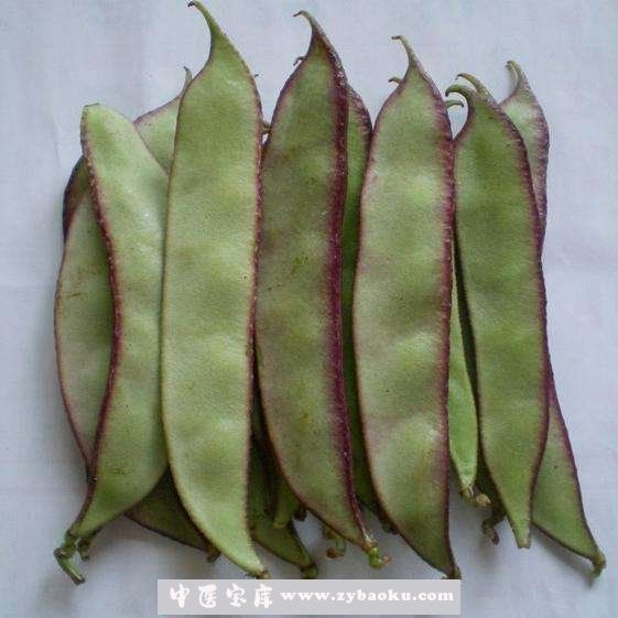 扁豆