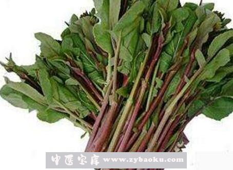 红菜苔的营养价值与功效
