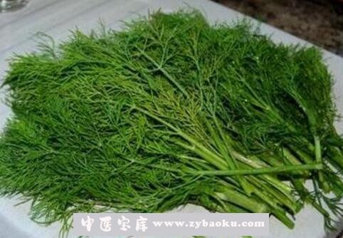 小茴香菜的功效与作用