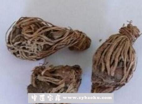 枯萝卜的作用与功效