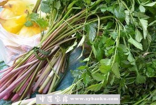 紫色芹菜叫什么芹 紫色芹菜的营养价值