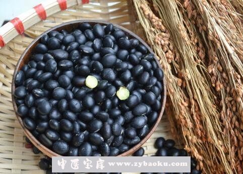 黑豆怎么吃最好 常见黑豆的吃法技巧