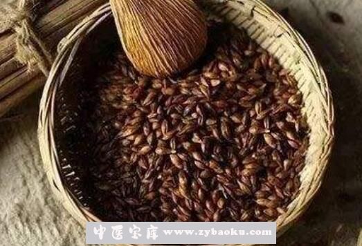 大麦茶怎么泡 大麦茶过夜可以喝吗