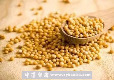 白芥菜籽的功效与作用