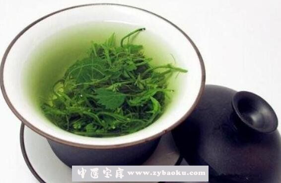 绞股蓝茶的功效与作用及冲泡方法