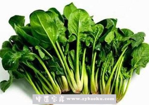 春天吃什么菜能降火