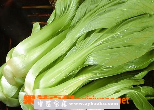 果蔬百科油菜的食用禁忌与注意事项